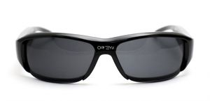 High Definition Sport Sunglasses Spy Camera/DVR