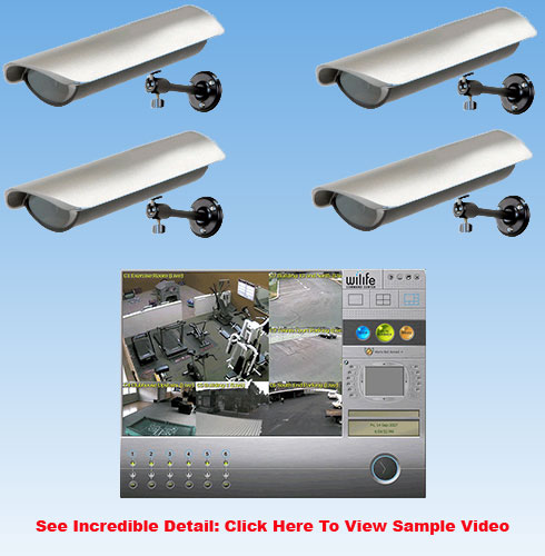 Four Camera Wilife Outdoor Video Surveillance Kit w/Free Remote Viewing