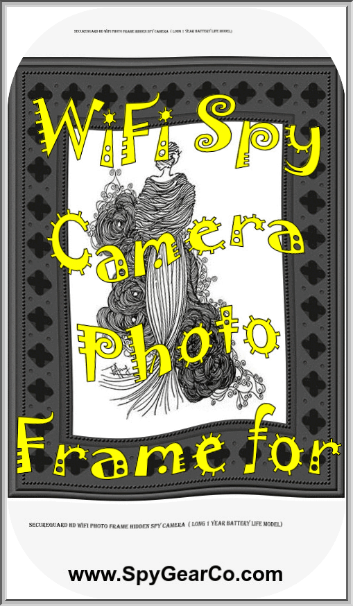 SecureGuard HD WiFi Photo Frame Hidden Spy Camera ( LONG 1 YEAR BATTERY LIFE MODEL)