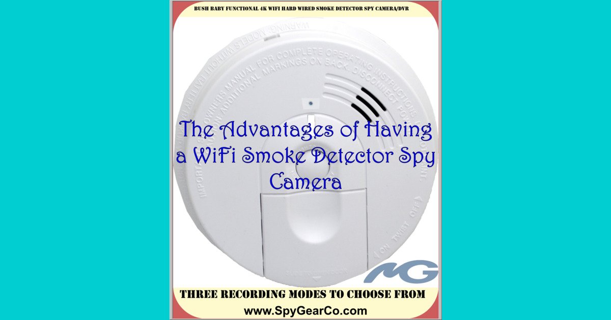 Bush Baby Functional 4K WiFi Hard Wired Smoke Detector Spy Camera/DVR