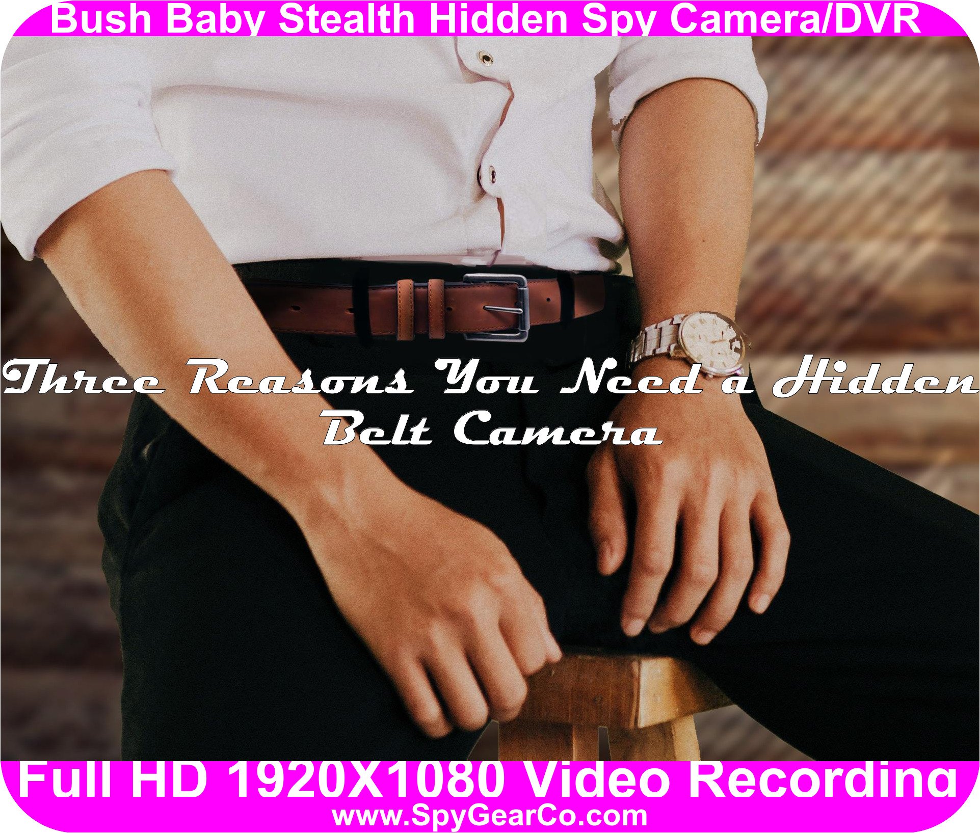 Bush Baby Stealth Hidden Spy Camera/DVR