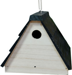 bird house camera