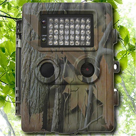 weather proof, motion activated hunting camera